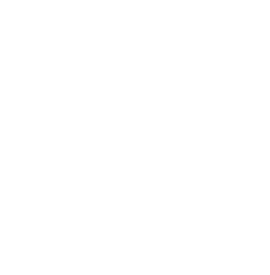 IceTransfer Logo